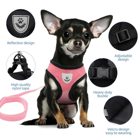Summer Breathable Pet Harness & Leash Set – Adjustable, Reflective Vest for Small Dogs