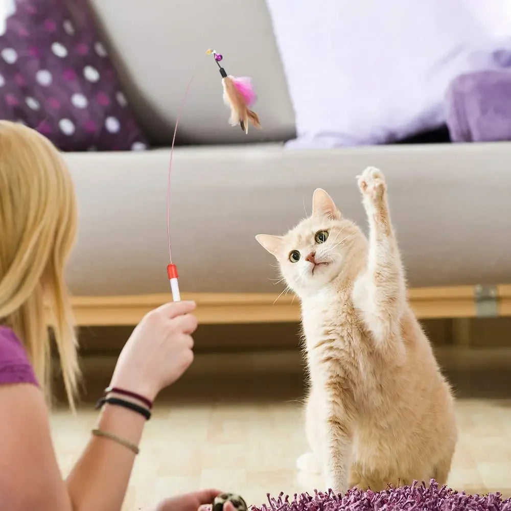 Cat Toy Set – Interactive Balls, Mice & Wand