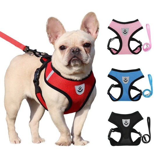 Summer Breathable Pet Harness & Leash Set – Adjustable, Reflective Vest for Small Dogs